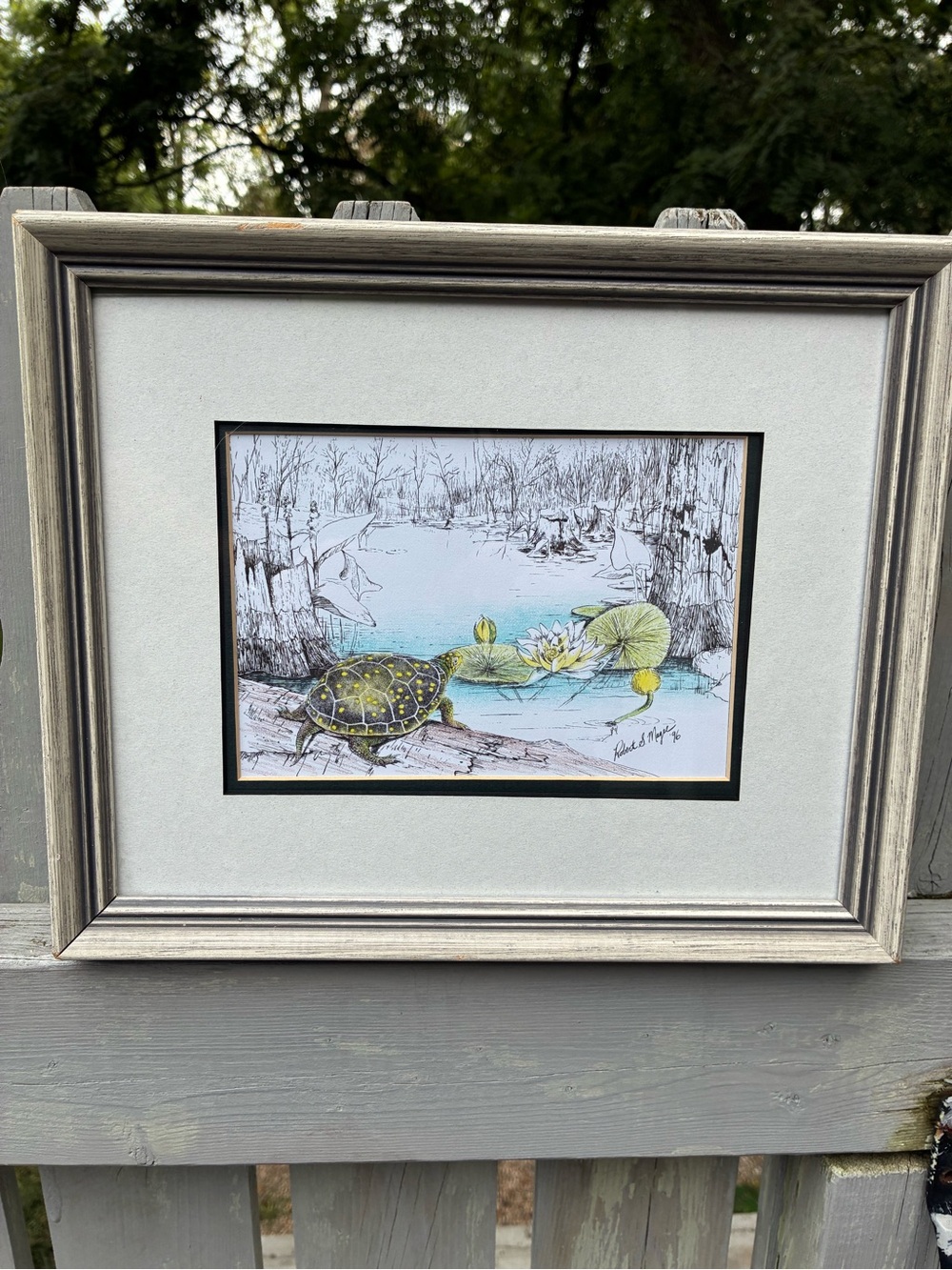 Robert McGee Canadian Artist Pen and Ink Framed Illustration Spotted Turtle